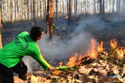 FOTO KEBAKARAN HUTAN : Begini Api Lalap Hutan Jati Kuwiran…
