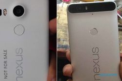 SMARTPHONE TERBARU : Nexus 6P Metal Sensor Sidik Jari Siap Dirilis