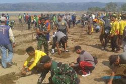 HUT TNI : Kodim 0801 Pacitan Gandeng Polisi dan Warga Tanam Bakau di Pantai Pancer Etan