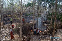 KEBAKARAN SRAGEN : 30 Hektare Hutan Rakyat di Gondang Hangus