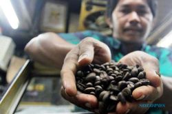 PERTANIAN JATIM : Kafe Kopi Makin Diminati, Petani Jatim Perbanyak Kopi Panggang