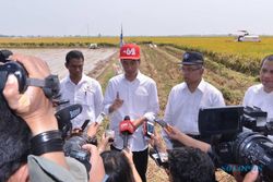 KEGIATAN PRESIDEN : Panen Padi, Jokowi Kenakan Topi Snap Cap Bertuliskan +62, Ini Pembuatnya
