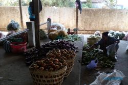 HASIL PANEN BOYOLALI : Panen Melimpah, Harga Sayuran Anjlok