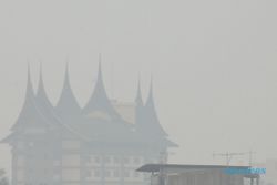 KABUT ASAP : Pemerintah Siapkan Rp7 Triliun untuk Atasi Kebakaran Lahan