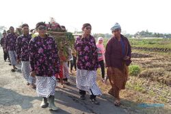 DESA BUDAYA : Gelar Potensi Desa Budaya Dimeriahkan Lomba Khas Desa