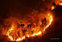 KEBAKARAN HUTAN : Kebakaran Terus Meluas, Jalur-Jalur Pendakian Diminta Tutup Sementara