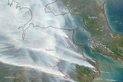 Kabut Asap Kalimantan Berdampak ke Semarang…
