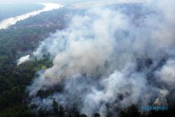 KABUT ASAP : Radius Kebakaran Hutan Sulawesi Utara 5,5 Km, Water Bombing Cuma 150 M