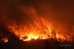 FOTO KEBAKARAN LAWU : Api Lawu Dipadamkan Pakai Air