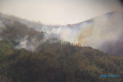 KEBAKARAN LAWU : Api Masih Membara di Kawasan Cemoro Sewu