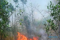 Kasus Kebakaran Melonjak, Sekda Klaten: Jangan Bakar Sampah di Hutan dan Lahan