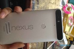 SMARTPHONE TERBARU : Usung Android M, Nexus 6P Ludes Terjual di Play Store