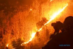 FOTO KEBAKARAN WILIS : Hutan di Gunung Wilis Terbakar...