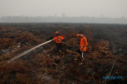 KABUT ASAP : Kebakaran Lahan di Daerah, Jokowi Ancam Copot Pejabat TNI/Polri