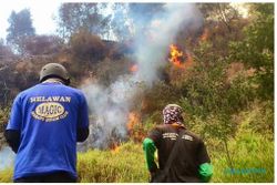 KEBAKARAN BOYOLALI : Kebakaran Hutan Merapi Meluas, Jalur Pendakian Ditutup
