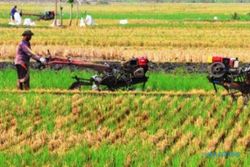 UGM Kembangkan Pusat Pelatihan Pertanian dan Perdesaan Swadaya untuk Tingkatkan Produk Pertanian