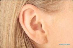 Kapan Harus Periksa Indera Pendengaran, Ini Kata Dokter