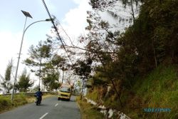 ANGIN KENCANG BOYOLALI : Awas! Pohon Cemara Tumbang di Jalur Solo-Semarang-Borobudur