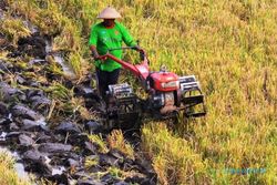 PEMBERDAYAAN MASYARAKAT DIY : Majukan Pertanian, Korea Selatan Turun Tangan Bantu Desa Bleberan