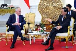 INDONESIA-AUSTRALIA : Jokowi Minta Dorong Pembiakan Sapi Australia di NTT dan NTB