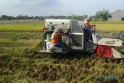 PERTANIAN PONOROGO : Gunakan Mesin Rice Harvester, Panen di Ponorogo Tak Sampai 30 Menit