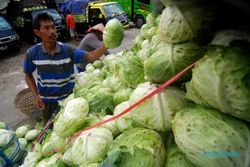 Ekspor Sayur & Umbi-Umbian di Jateng Tertinggi Se-Indonesia