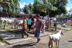 PASAR TRADISIONAL KULONPROGO : Ganggu Lalin, Pasar Legi Dipindah