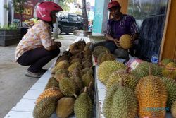 PERTANIAN BOYOLALI : Panen Terbatas, Harga Durian Boyolali Meroket