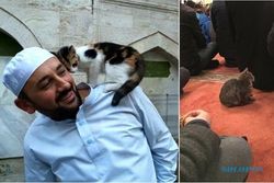 KISAH UNIK : Masjid di Turki Jadi "Rumah" Kucing Liar