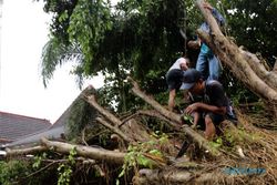ANGIN KENCANG BLITAR : Puting Beliung Terjang Blitar, Pohon Bertumbangan