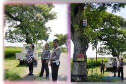 LALU LINTAS NGAWI : Satlantas Ngawi Gantung Galon Air di Pohon Jl. Raya Ngawi-Maospati, Untuk Apa?