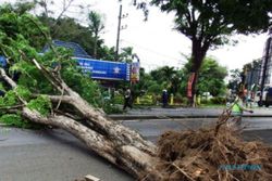 FOTO ANGIN KENCANG JOMBANG : Pohon Tumbang Timpa Pos Polisi