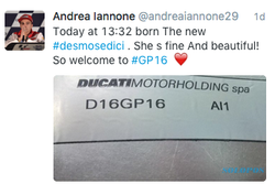 MOTOGP : Iannone Umumkan Kelahiran Desmosedici GP16