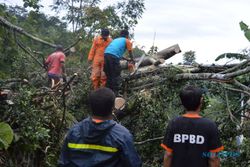 ANGIN KENCANG KARANGANYAR : 1 Warga Tawangmangu Luka Tertimpa Pohon Tumbang