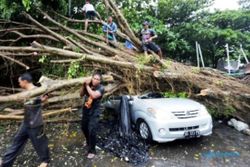 FOTO ANGIN KENCANG BLITAR : Pohon Tumbang Timpa 5 Mobil