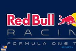 FORMULA ONE : Red Bull Bakal Perkenalkan Livery