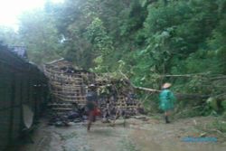 ANGIN KENCANG WONOGIRI : Pohon Tumbang Timpa Rumah, Warga Eromoko Menangis