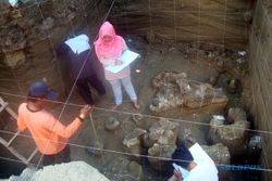BENDA PURBAKALA SRAGEN : Fosil Mamalia Purba Ditemukan di Manyarejo
