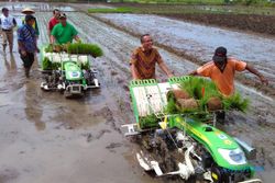 Peralatan Pertanian Sudah Modern, Petani Muda Diharapkan Semangat Terjun ke Sawah