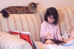 KISAH UNIK : Gara-Gara Kucing, Gadis Autis Ini Akhirnya Bisa Bicara