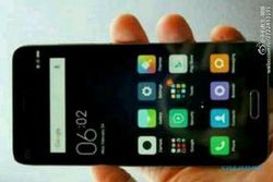 SMARTPHONE TERBARU : Xiaomi Bikin Ponsel 4,3 Inci Saingi Iphone SE