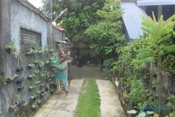 PERTANIAN KOTA : Pupus Stigma Kampung Esek-Esek dengan Vertical Garden