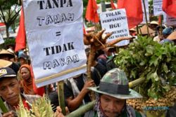 FOTO DEMO PETANI : Petani Kendal Demo di Semarang