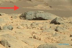 FENOMENA MARS : Ada Penampakan “Sphinx” di Planet Mars