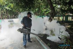 PENYAKIT MENULAR : Chikungunya Merebak, Gajahan Difogging