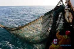 PERIKANAN JATENG : KKP Hibahkan 173 Kapal untuk Nelayan Jateng