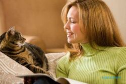 HASIL PENELITIAN : Peneliti Kaji Komunikasi Kucing dengan Pemilik