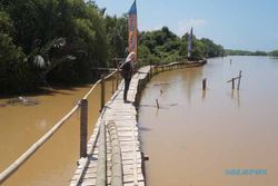 WISATA KULONPROGO : Sampah Wisatawan Bisa Merusak Konservasi Mangrove