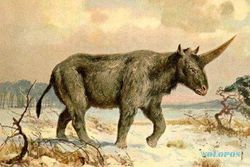 PENEMUAN BARU : Ilmuwan Temukan Fosil, Unicorn Mungkin Tak Hanya Mitos