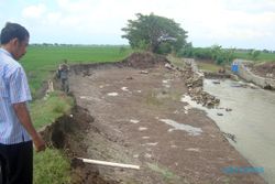 INFRASTRUKTUR SRAGEN : Erosi Dam Wangan Kedungupit Kian Parah, Jalan Usaha Tani Putus